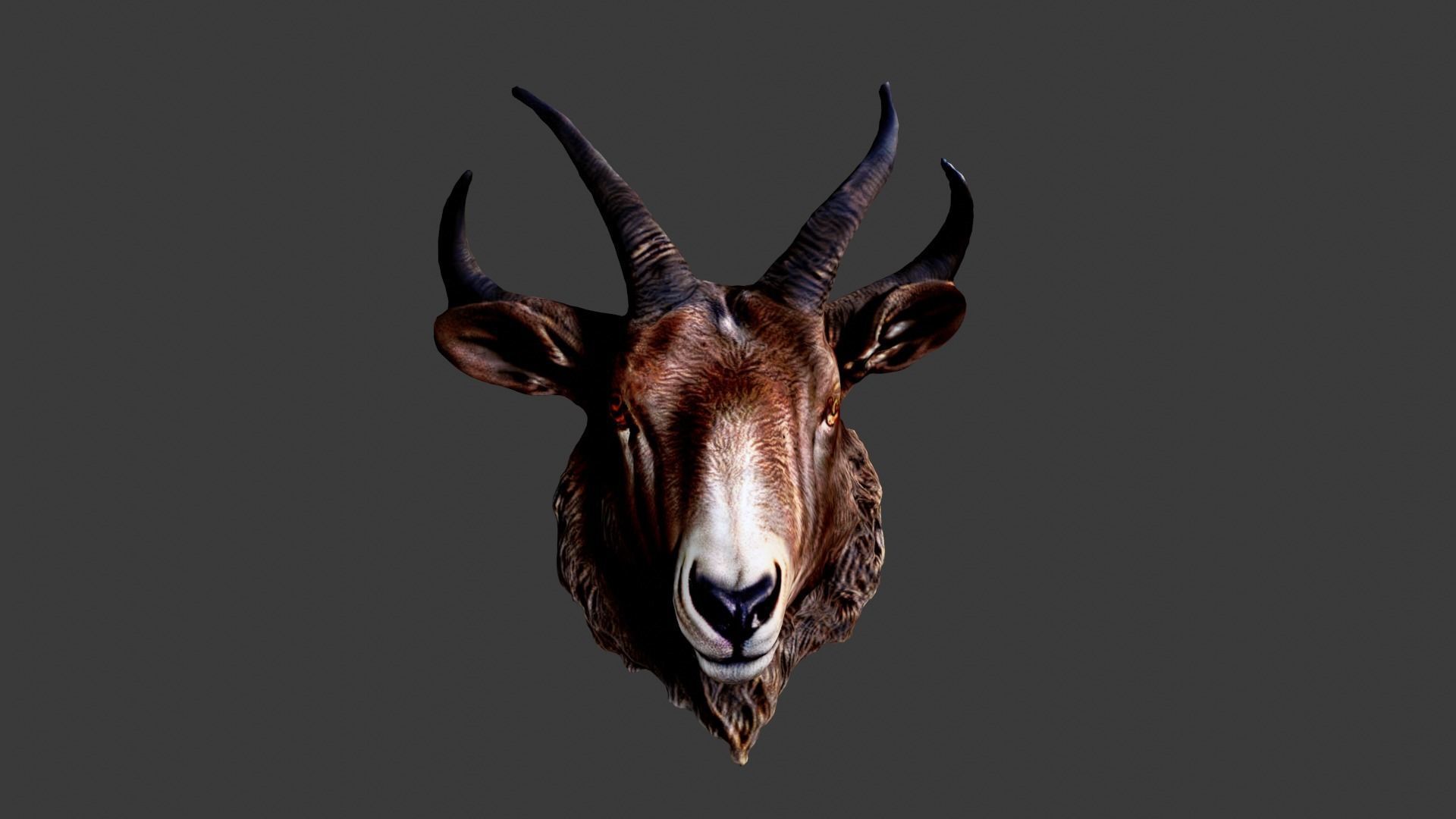 Animal Head Low-poly 3D model_3