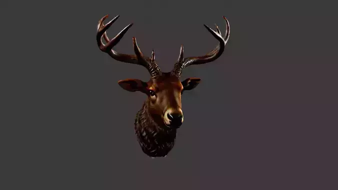 Deer Animal Head