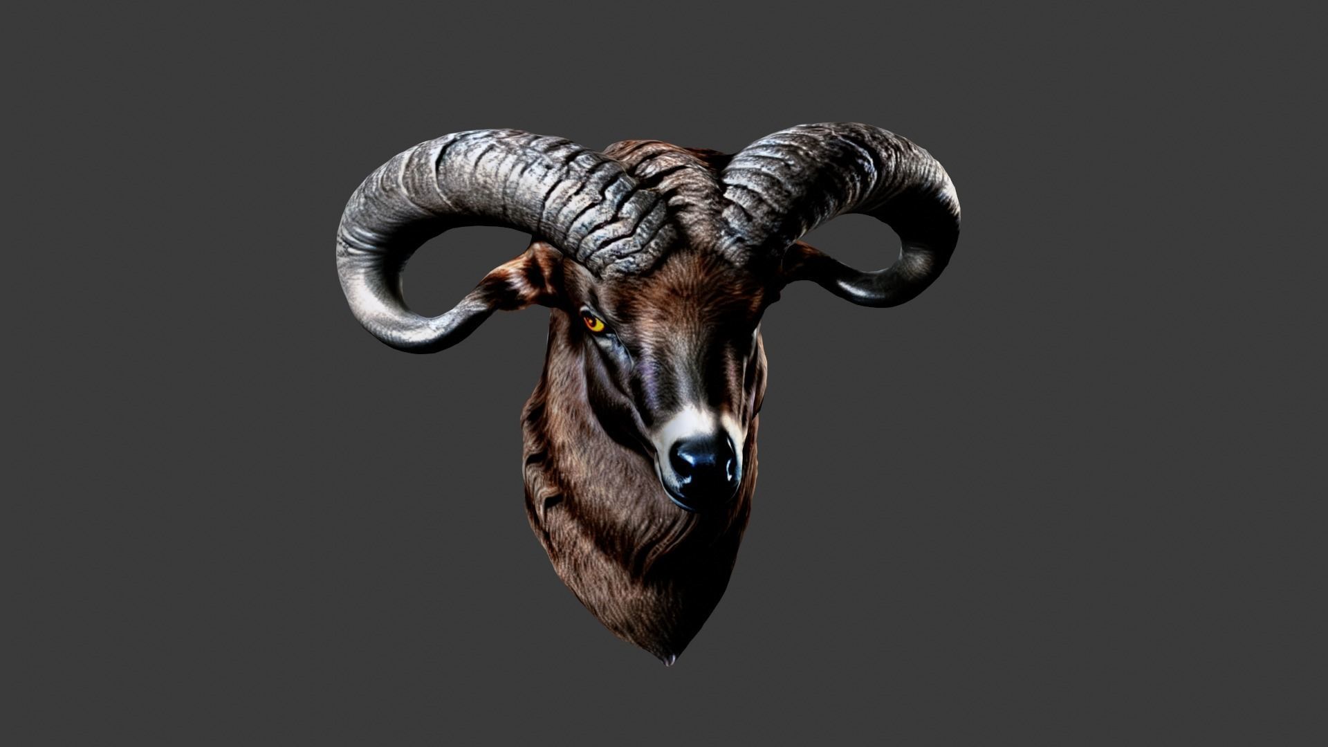 Deer Animal Head Low-poly 3D model_3