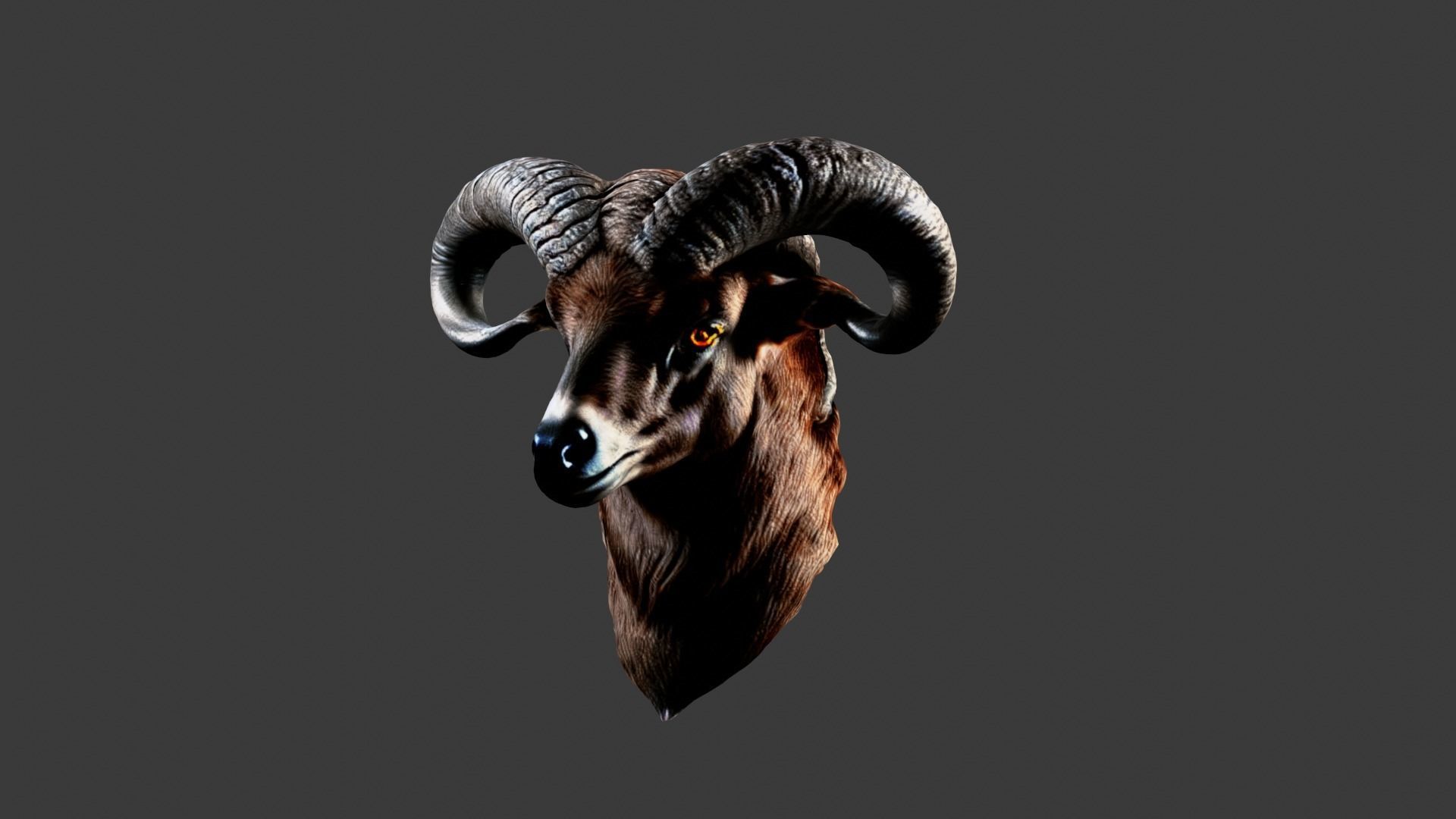 Deer Animal Head Low-poly 3D model_2