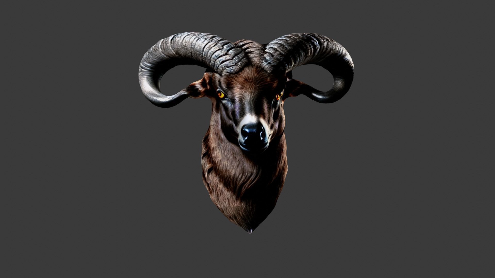 Deer Animal Head Low-poly 3D model_1