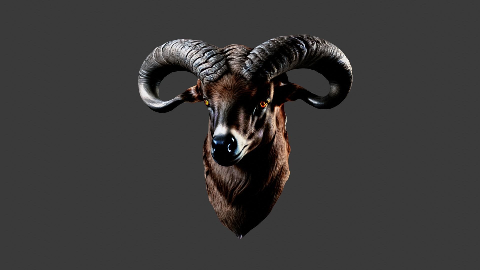 Deer Animal Head Low-poly 3D model_5