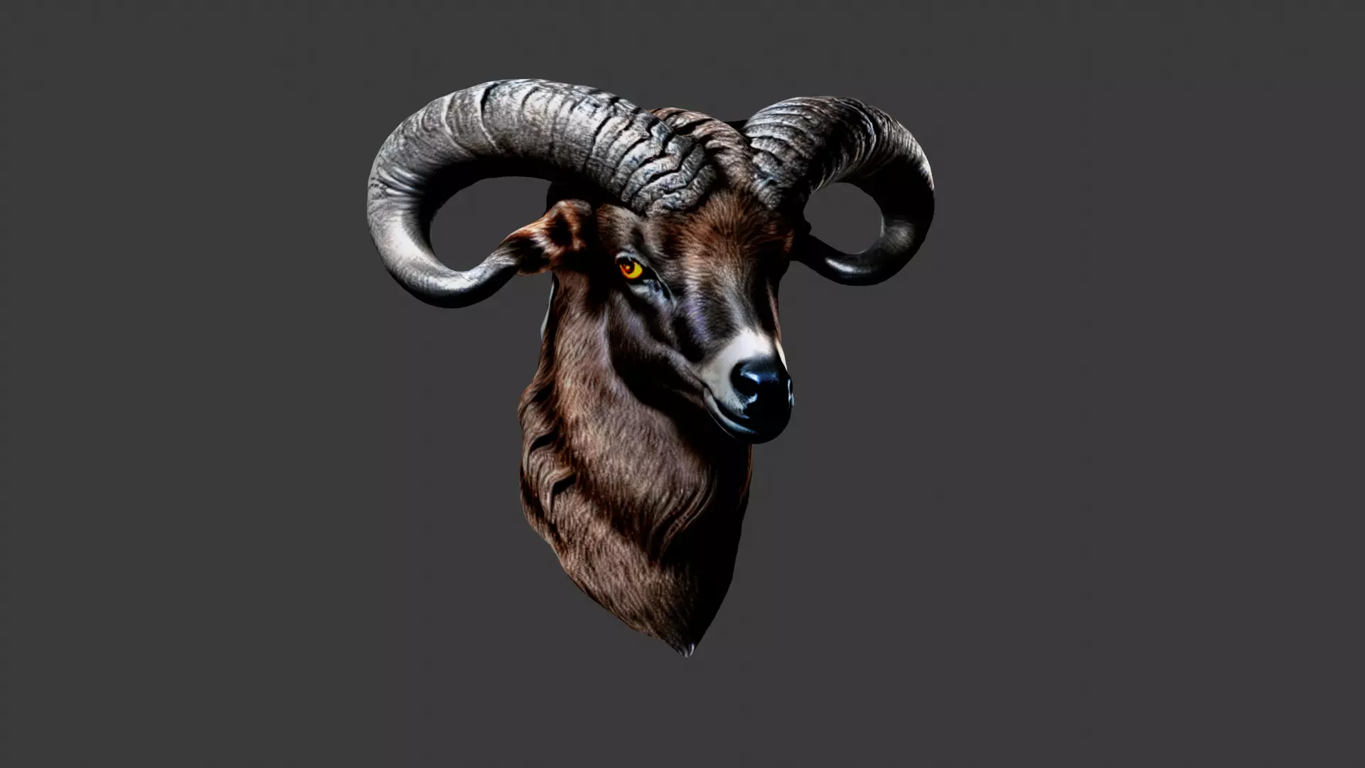 Deer Animal Head Low-poly 3D model_0