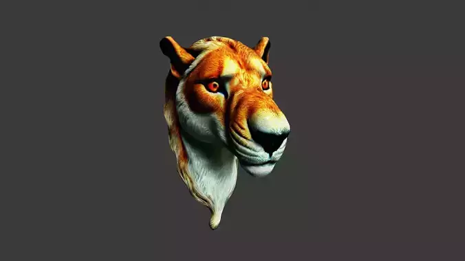 Animal Head