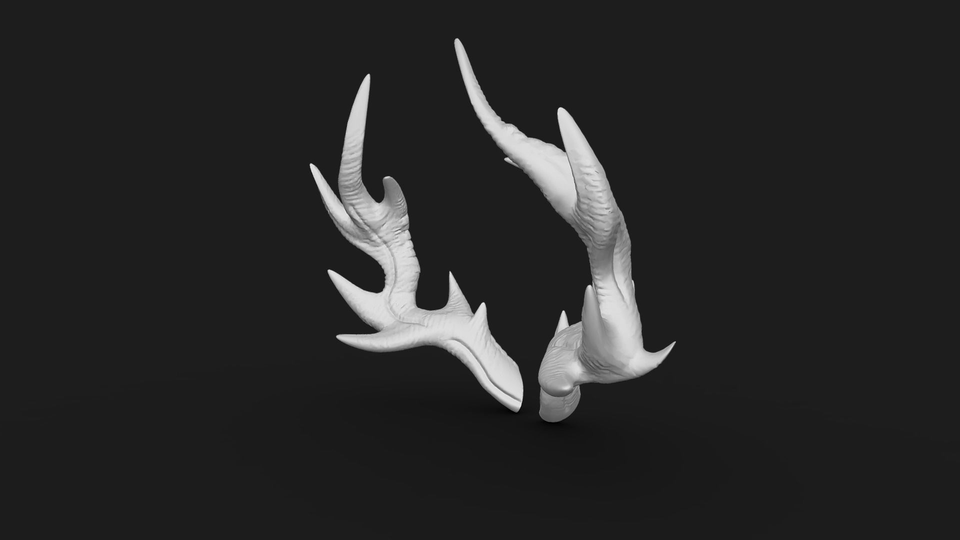 Antlers 3D print model_3