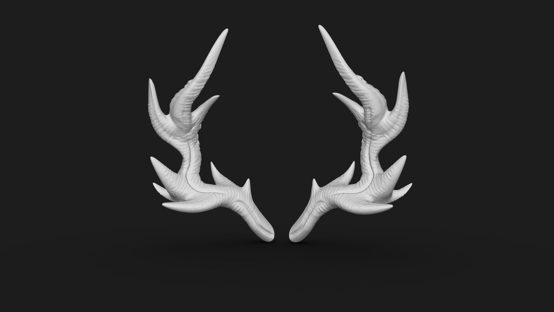 Antlers 3D print model_4