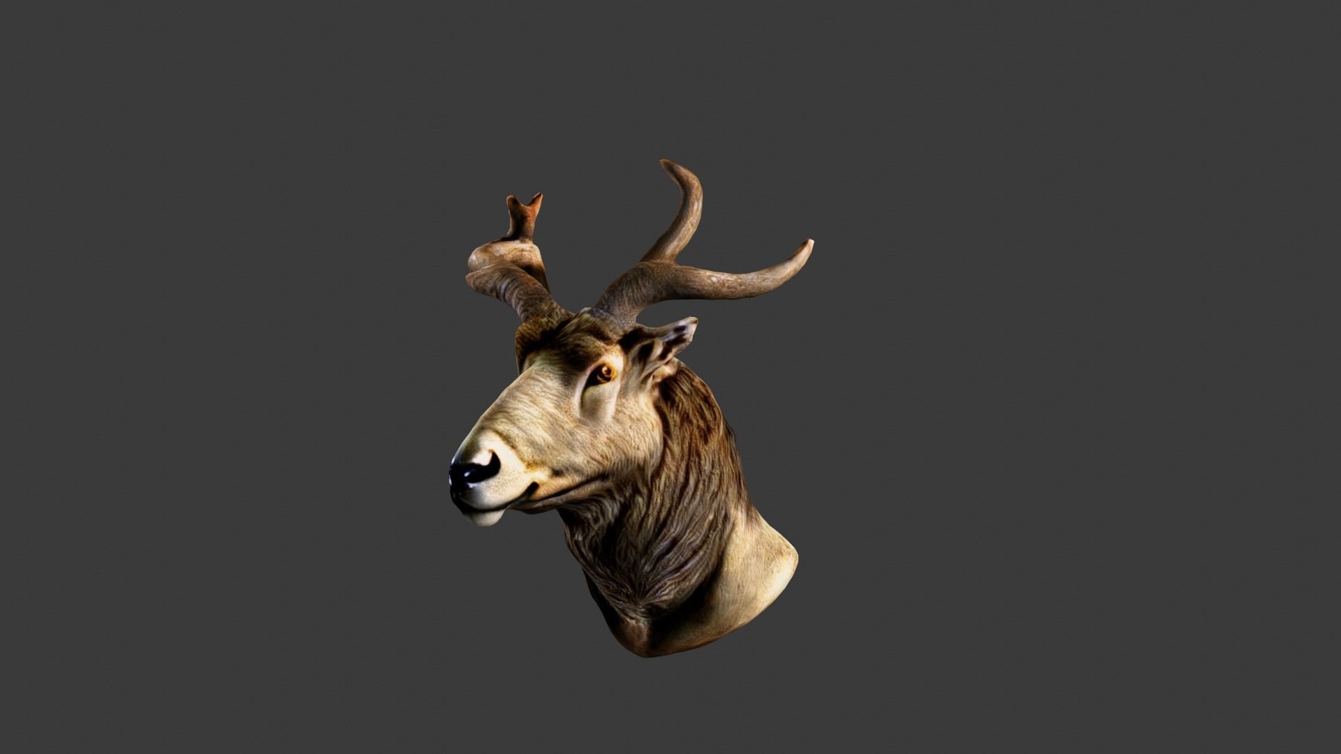 Deer Animal Head Low-poly 3D model_2