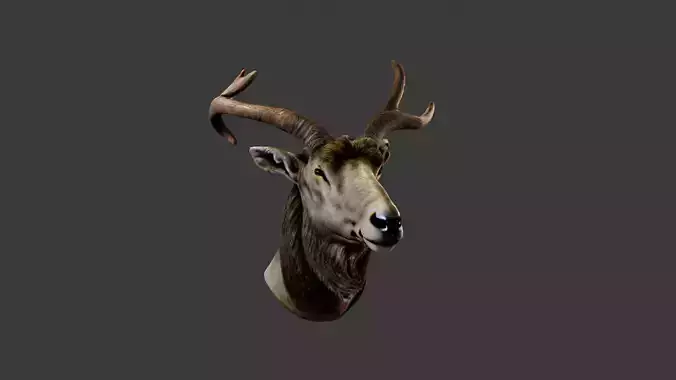 Deer Animal Head