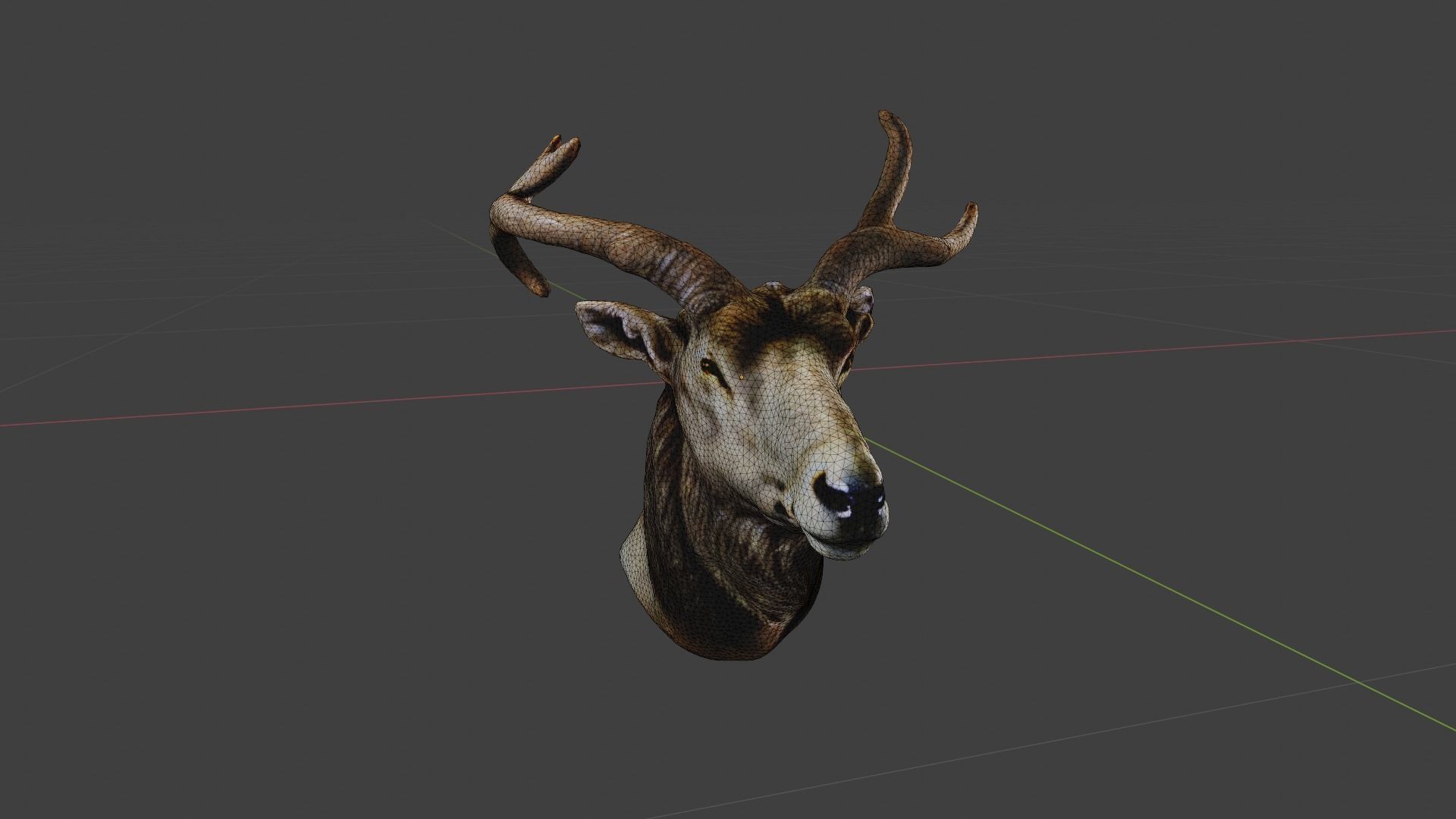 Deer Animal Head Low-poly 3D model_6