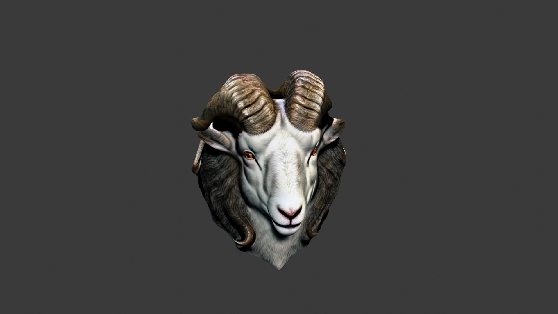 Animal Head Low-poly 3D model_3
