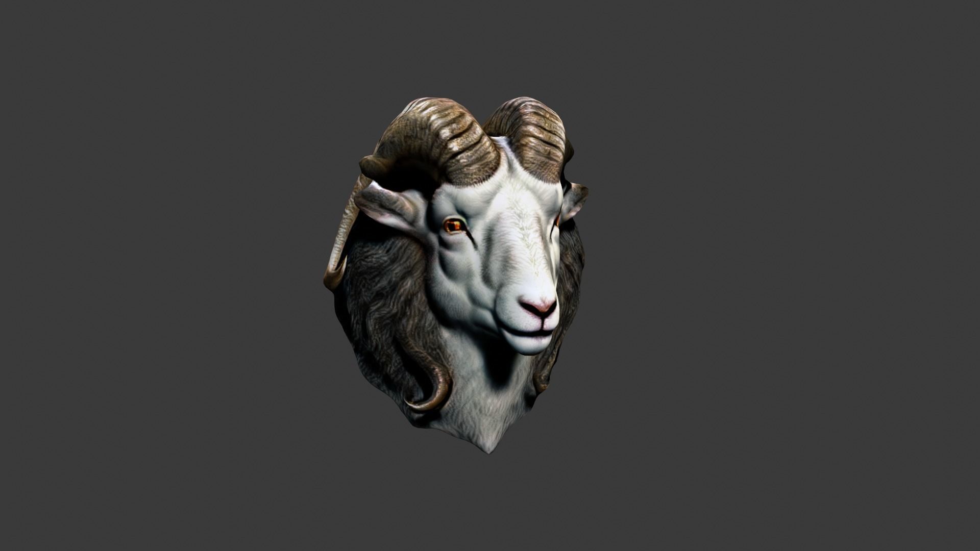 Animal Head Low-poly 3D model_1