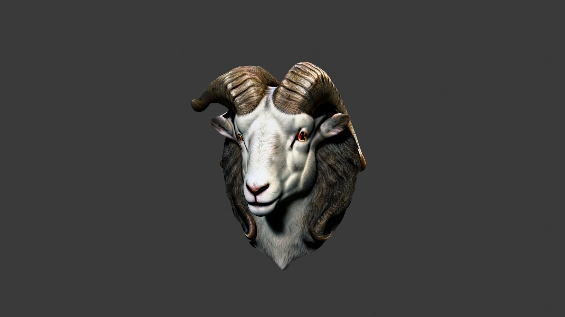 Animal Head Low-poly 3D model_5