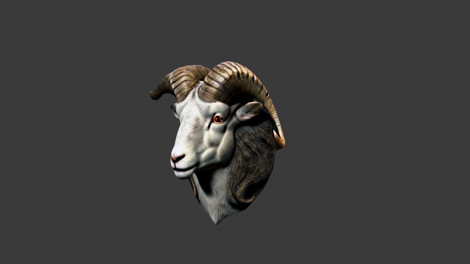 Animal Head Low-poly 3D model_2