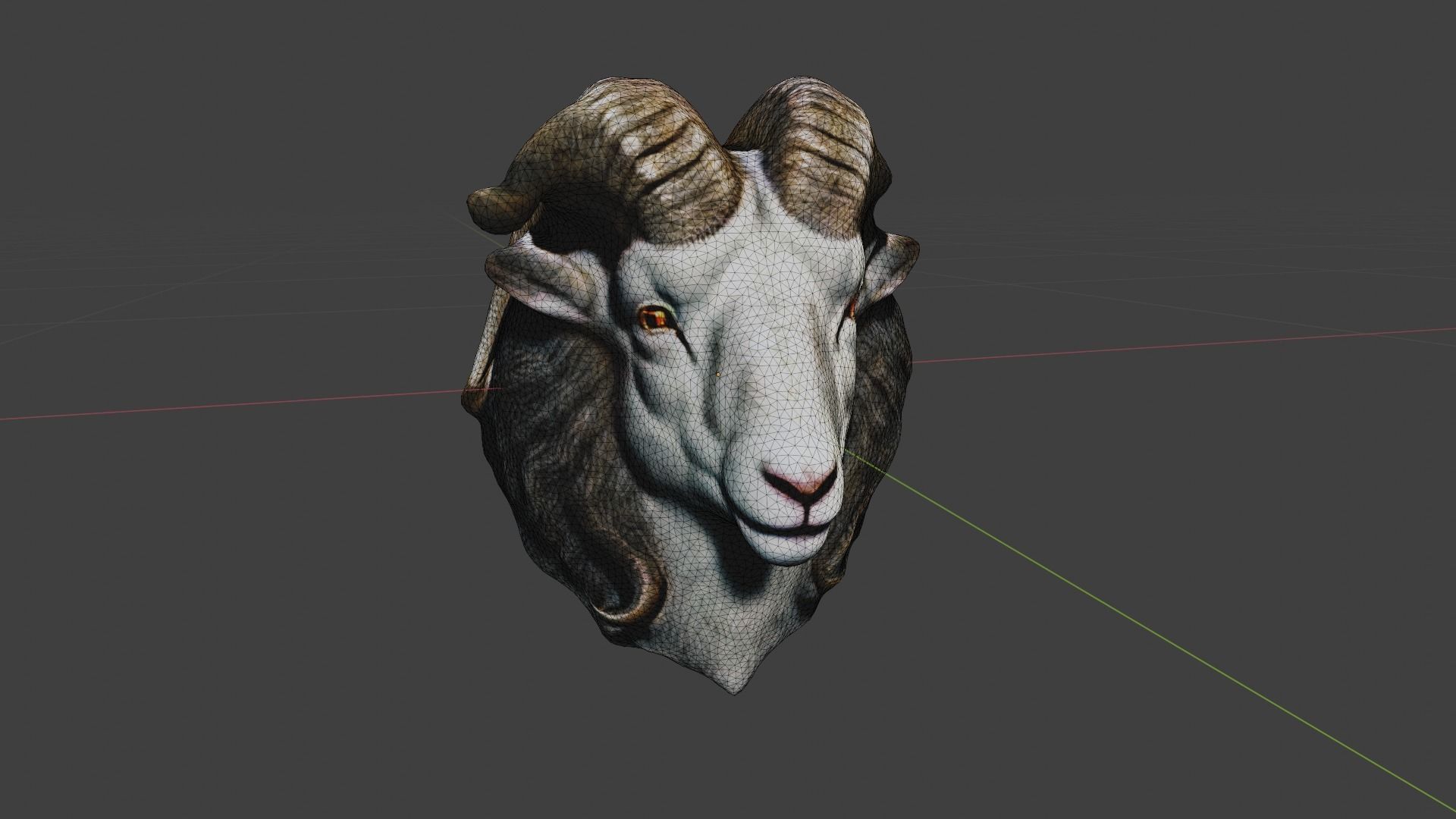 Animal Head Low-poly 3D model_6