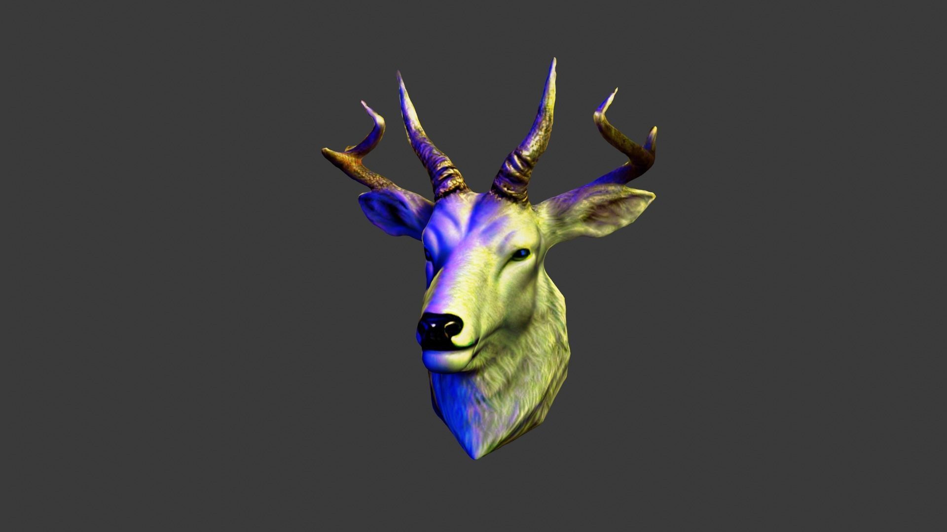 Animal Head Low-poly 3D model_5