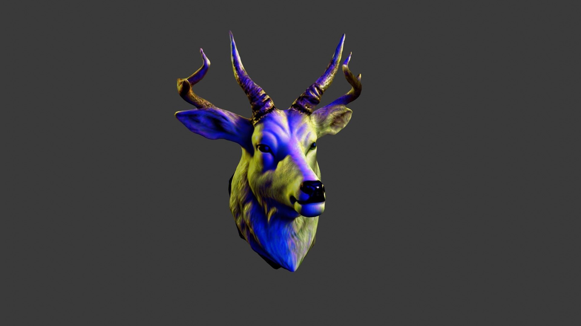 Animal Head Low-poly 3D model_1