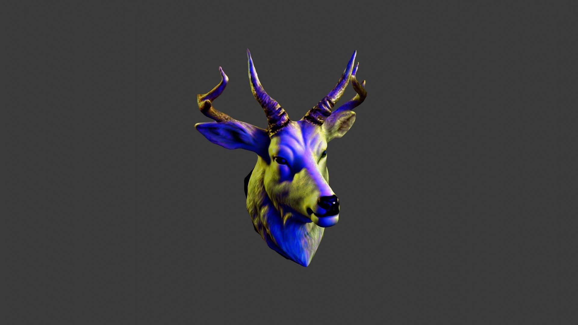 Animal Head Low-poly 3D model_4