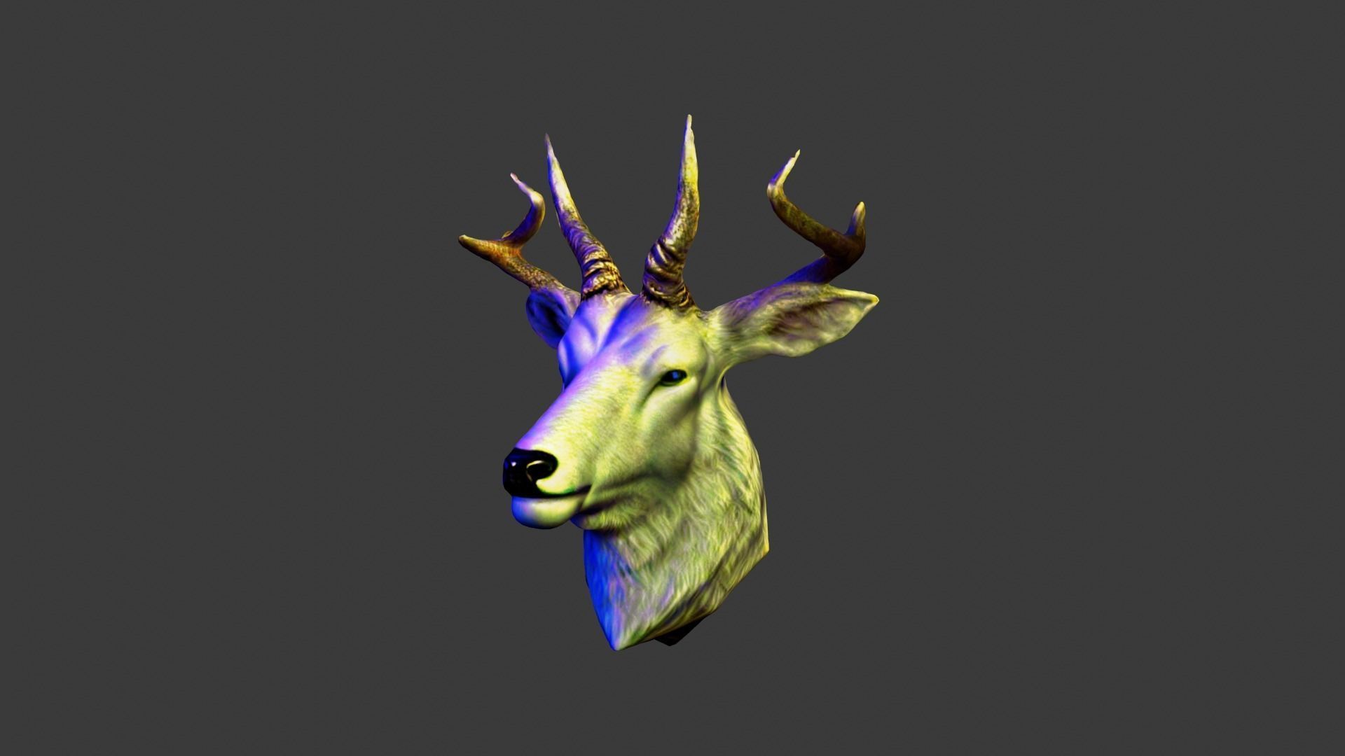 Animal Head Low-poly 3D model_2
