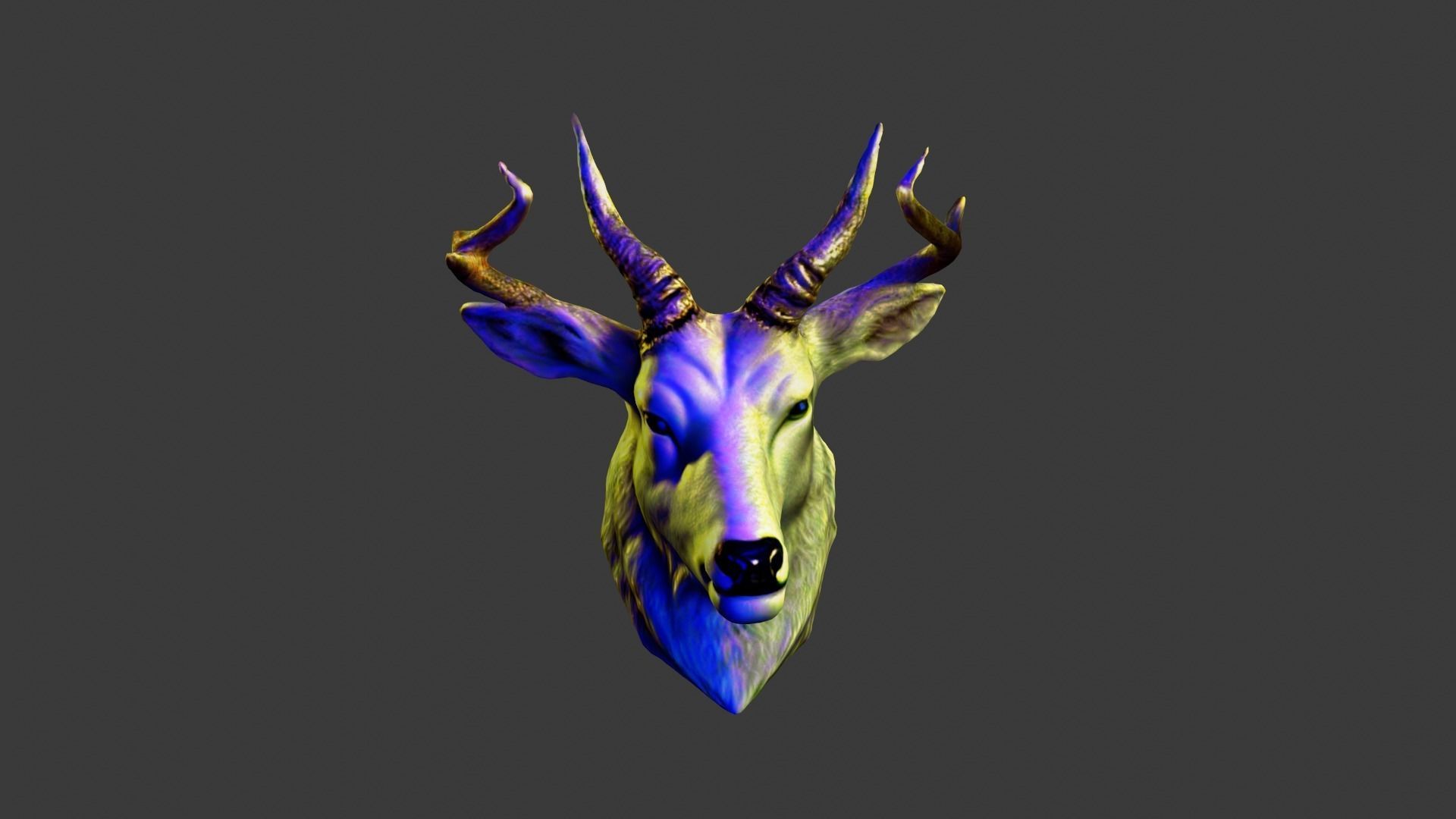 Animal Head Low-poly 3D model_3