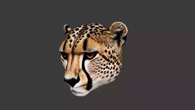 Cheetah Animal Head Low-poly 3D model