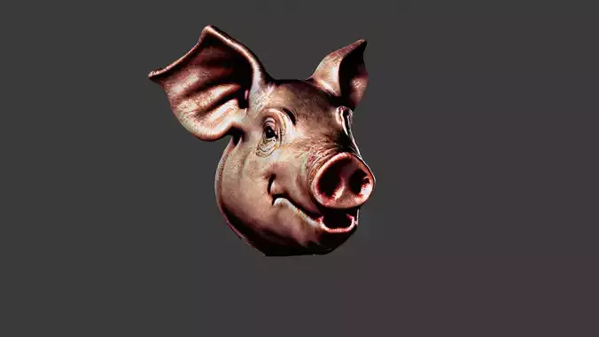 Pig Animal Head