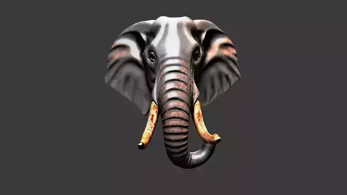 Elephant Animal Head Low-poly 3D model