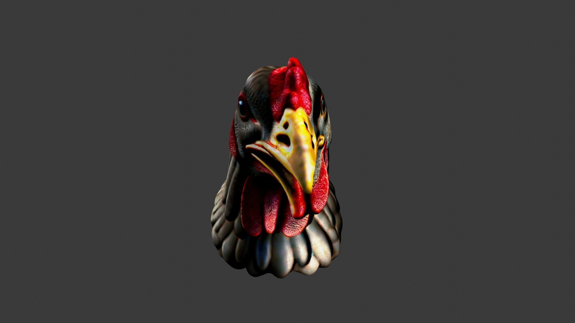 Chicken Animal Head Low-poly 3D model_3
