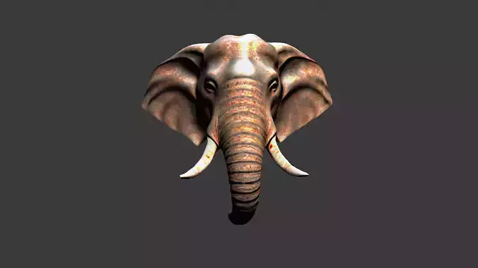 Elephant Animal Head