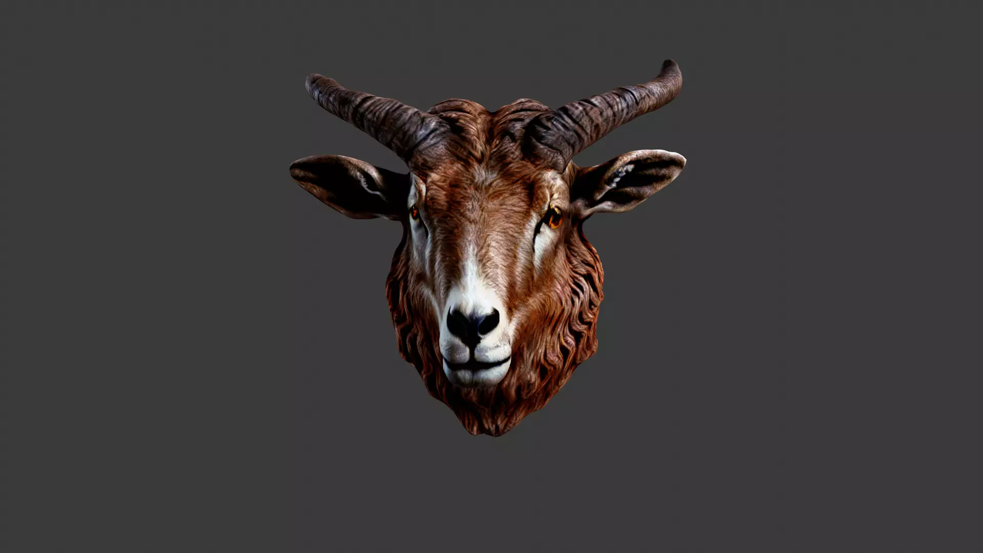 Animal Head Low-poly 3D model