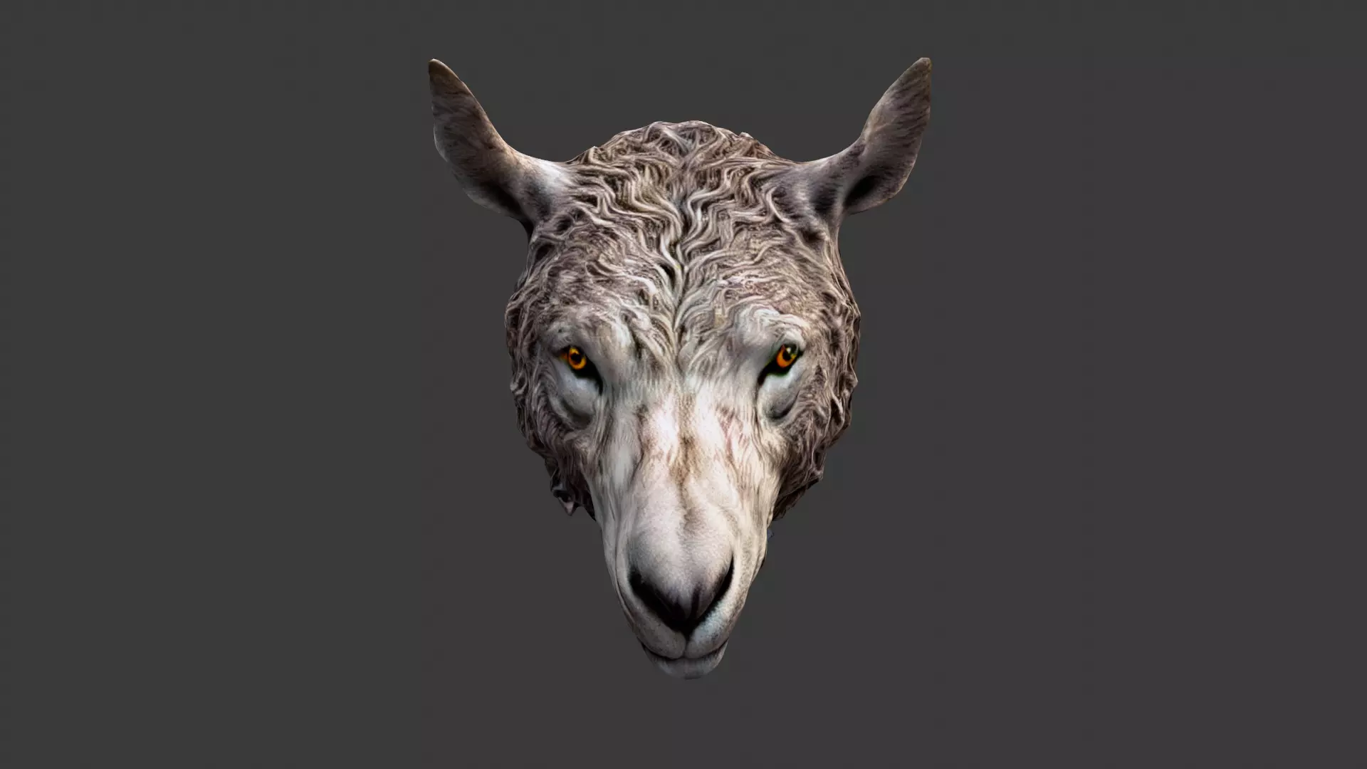 Animal Head Low-poly 3D model