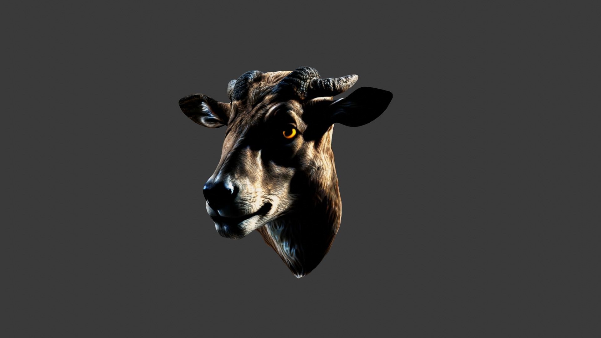 Animal Head Low-poly 3D model_2
