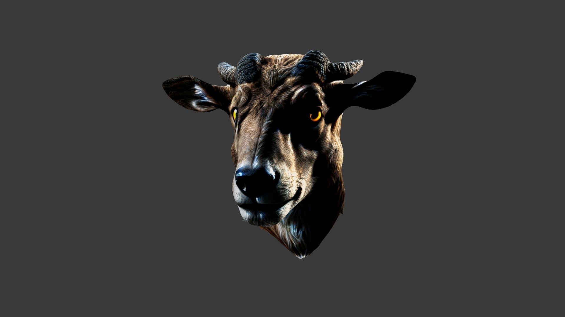 Animal Head Low-poly 3D model_5