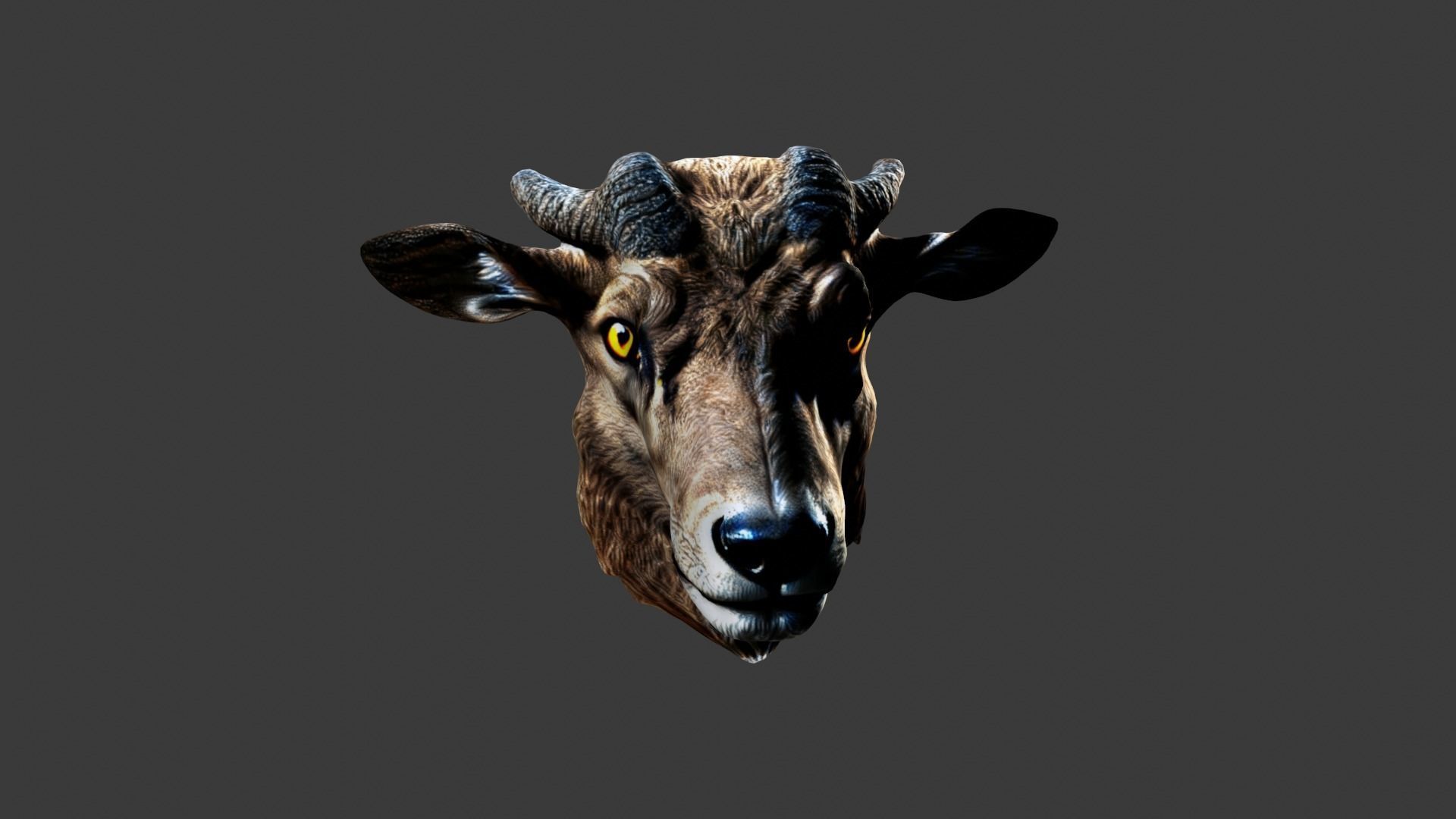 Animal Head Low-poly 3D model_3