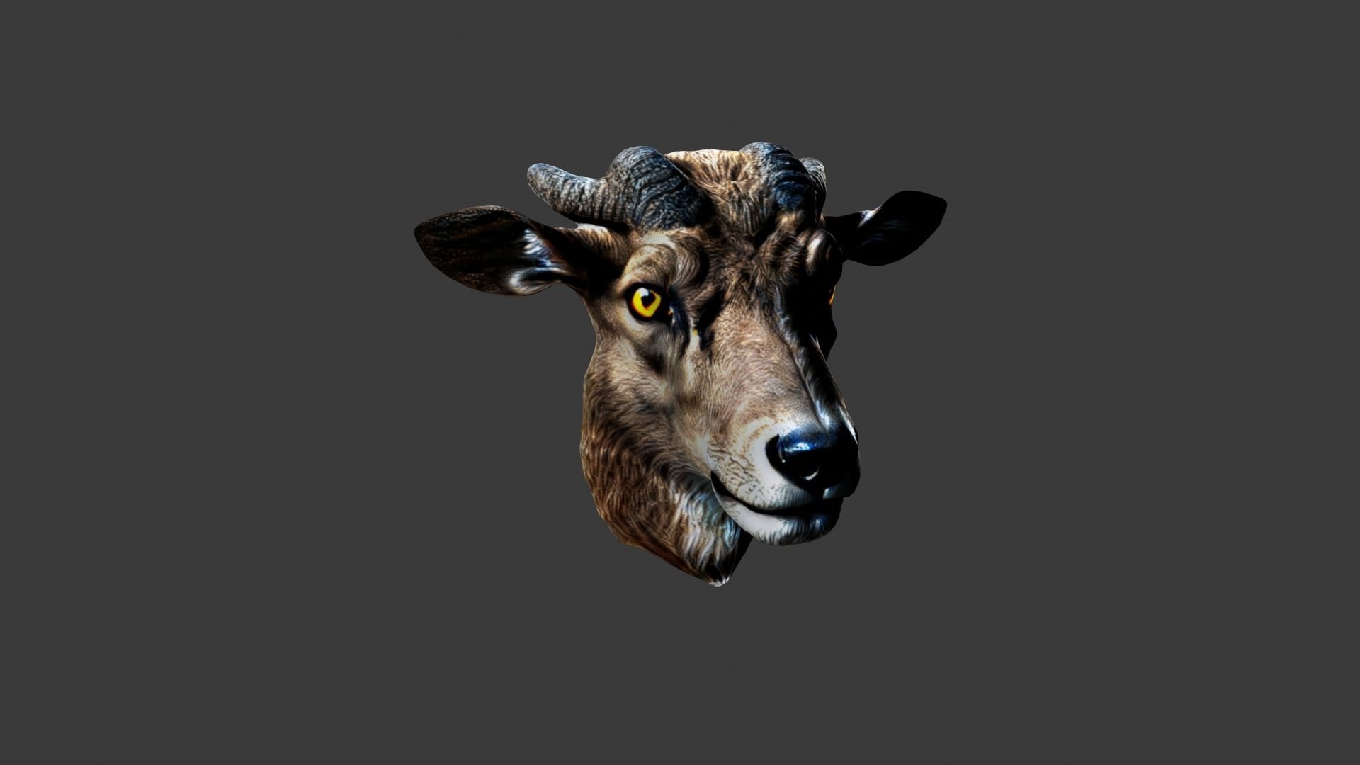 Animal Head Low-poly 3D model_4
