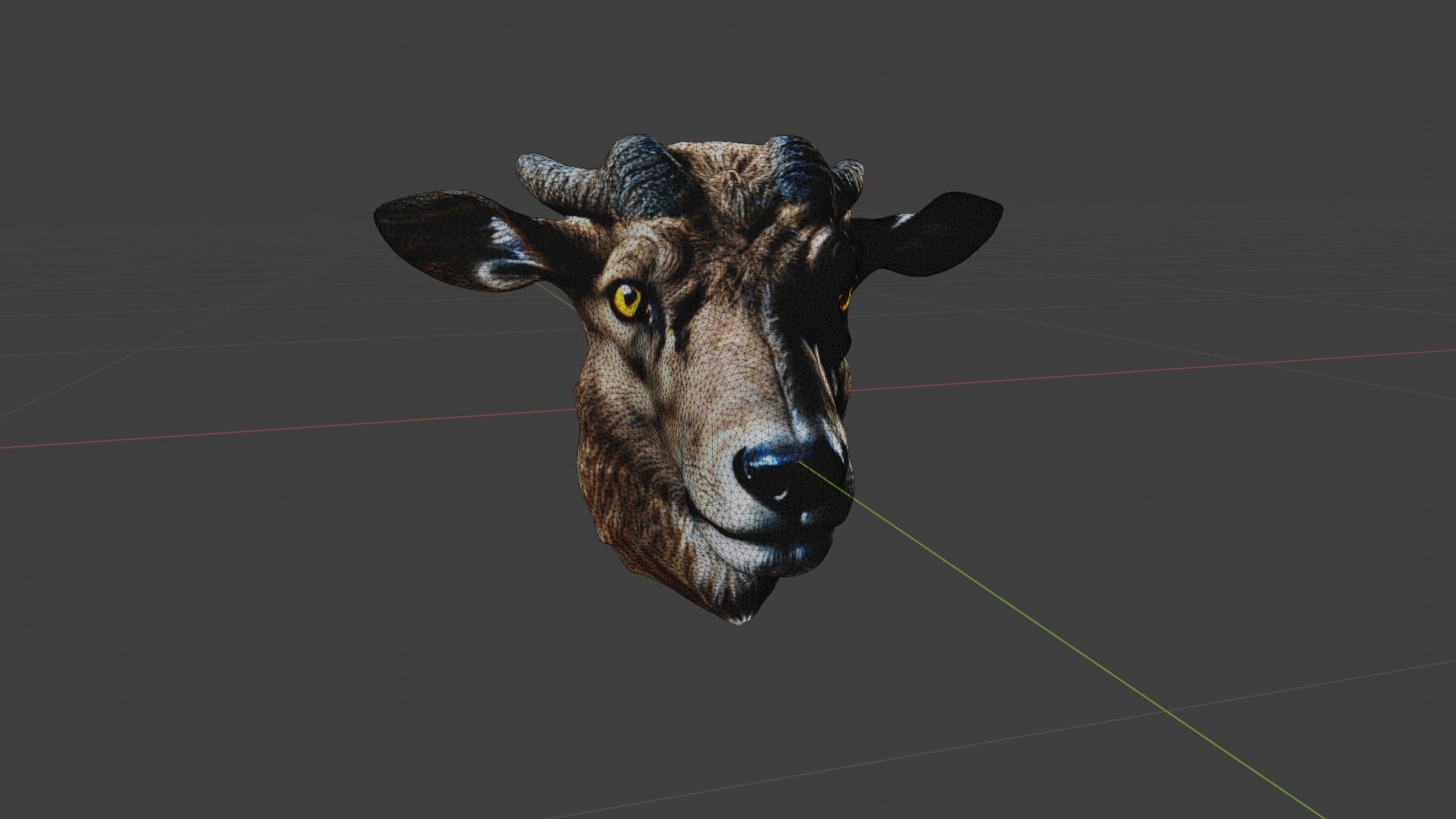 Animal Head Low-poly 3D model_6