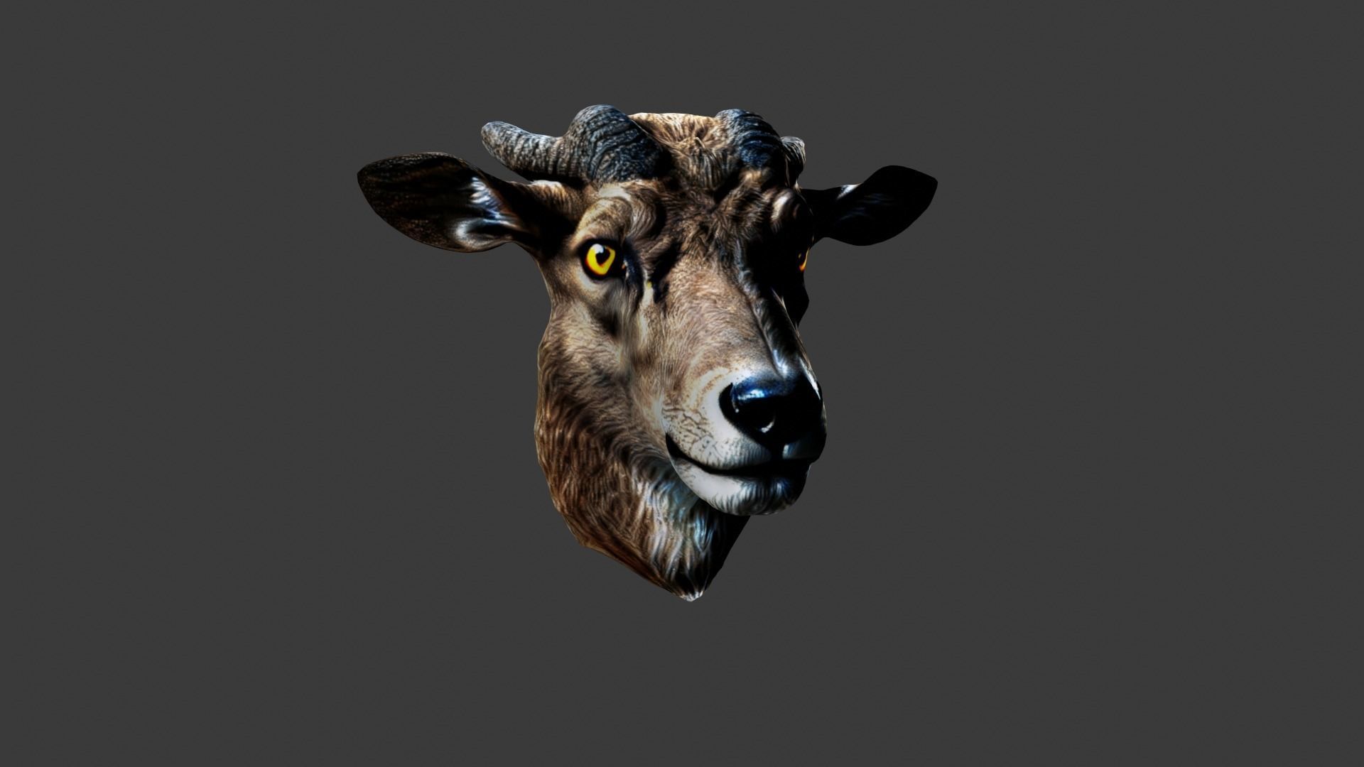 Animal Head Low-poly 3D model_1