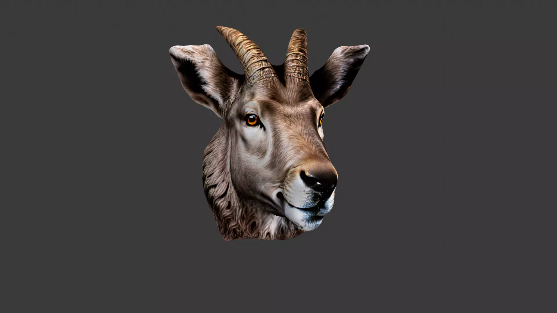 Animal Head Low-poly 3D model_0