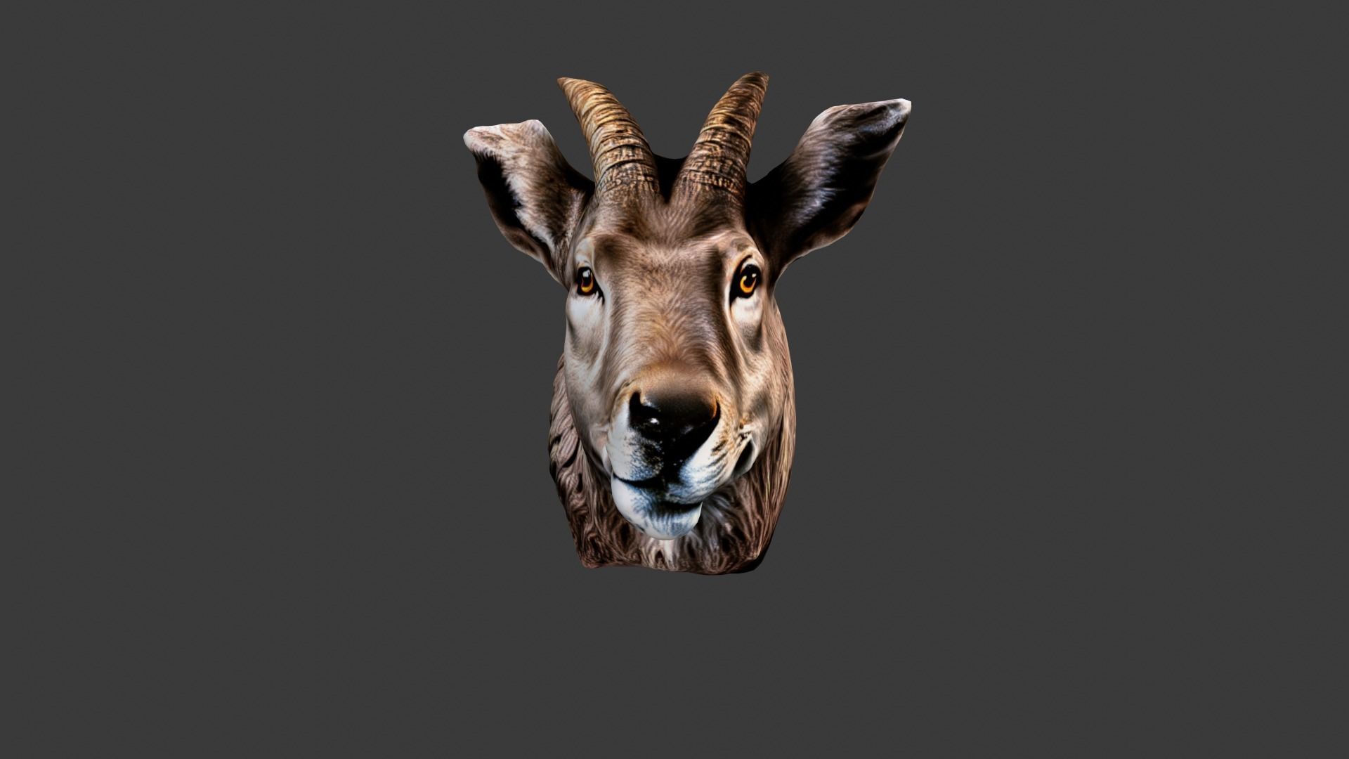 Animal Head Low-poly 3D model_1