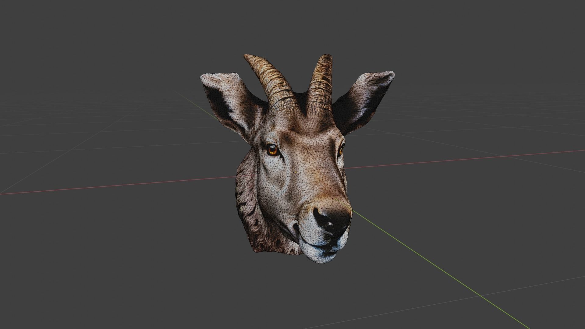 Animal Head Low-poly 3D model_6