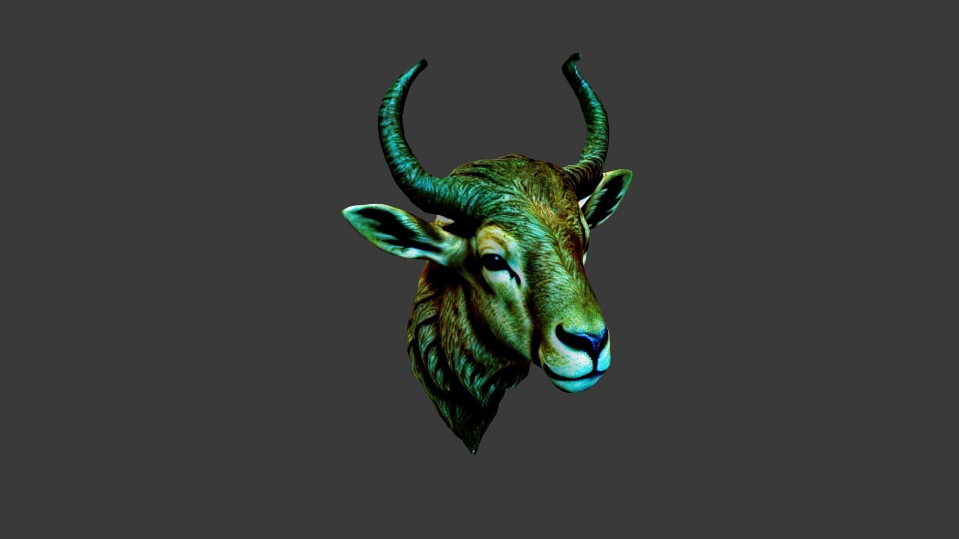 Deer Animal Head Low-poly 3D model_4