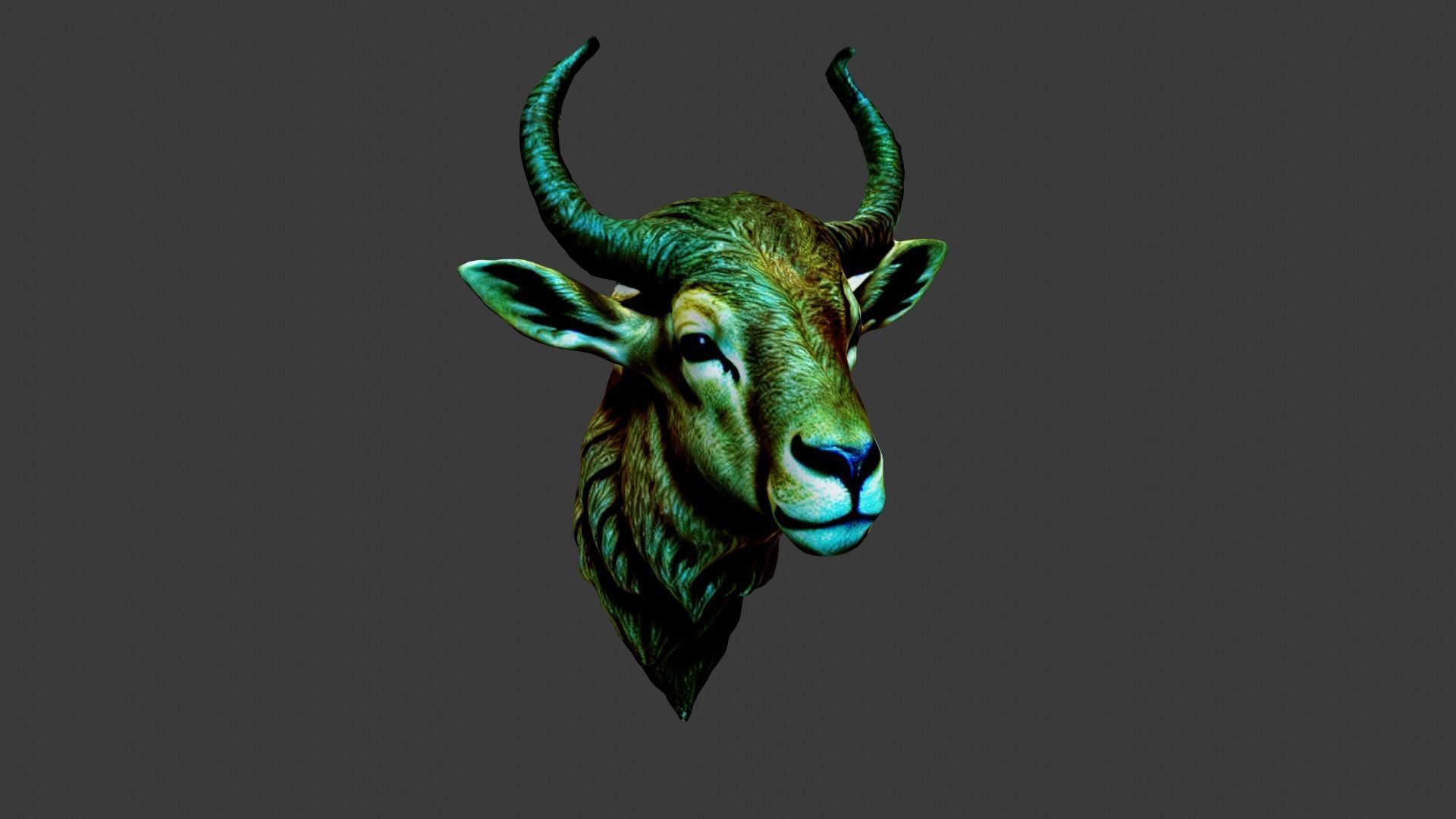 Deer Animal Head Low-poly 3D model_1