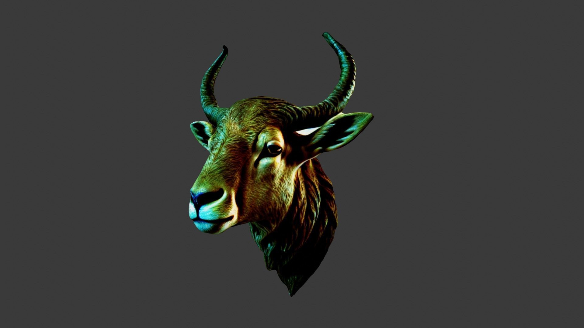 Deer Animal Head Low-poly 3D model_2