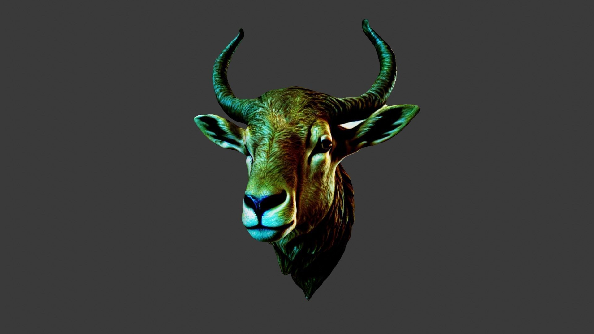 Deer Animal Head Low-poly 3D model_5