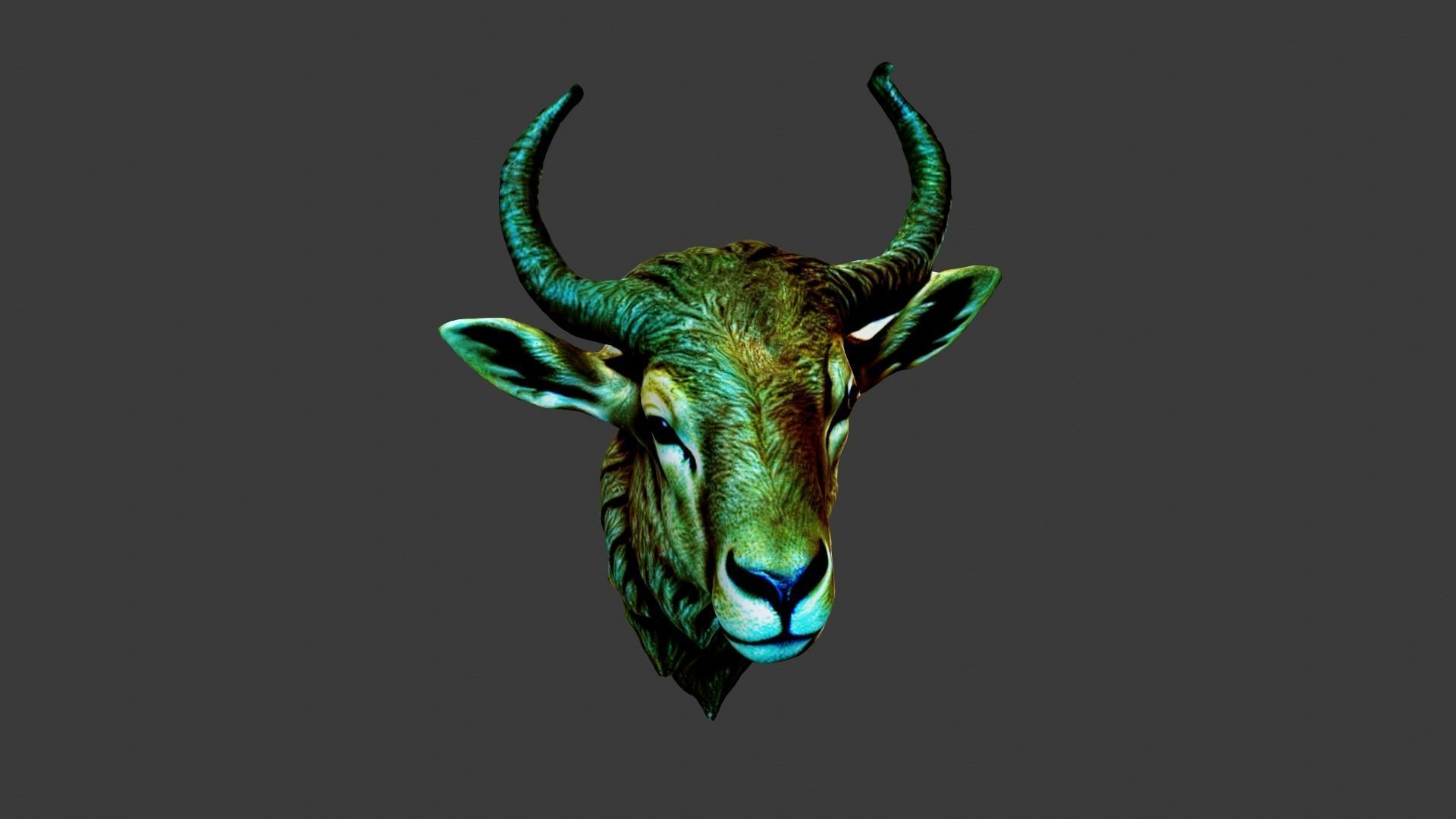 Deer Animal Head Low-poly 3D model_3