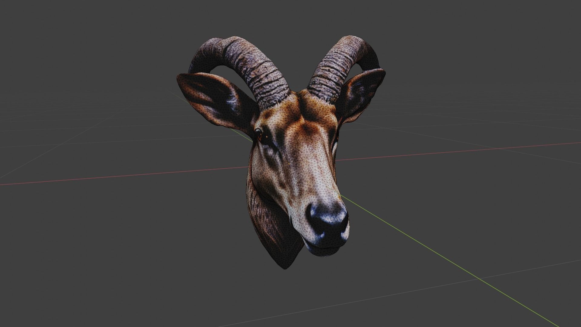 Deer Animal Head Low-poly 3D model_6