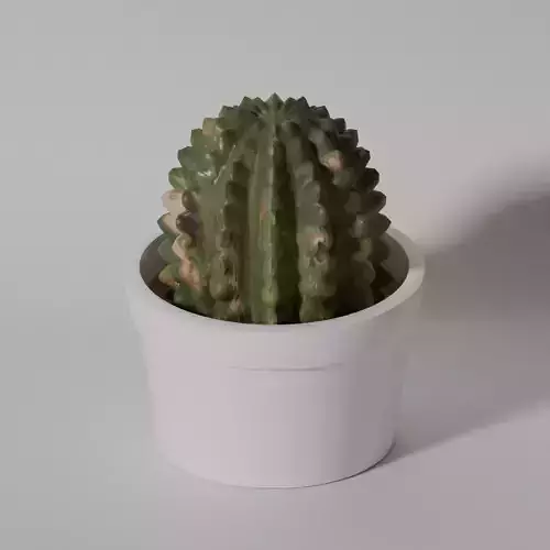 Low Poly Cactus