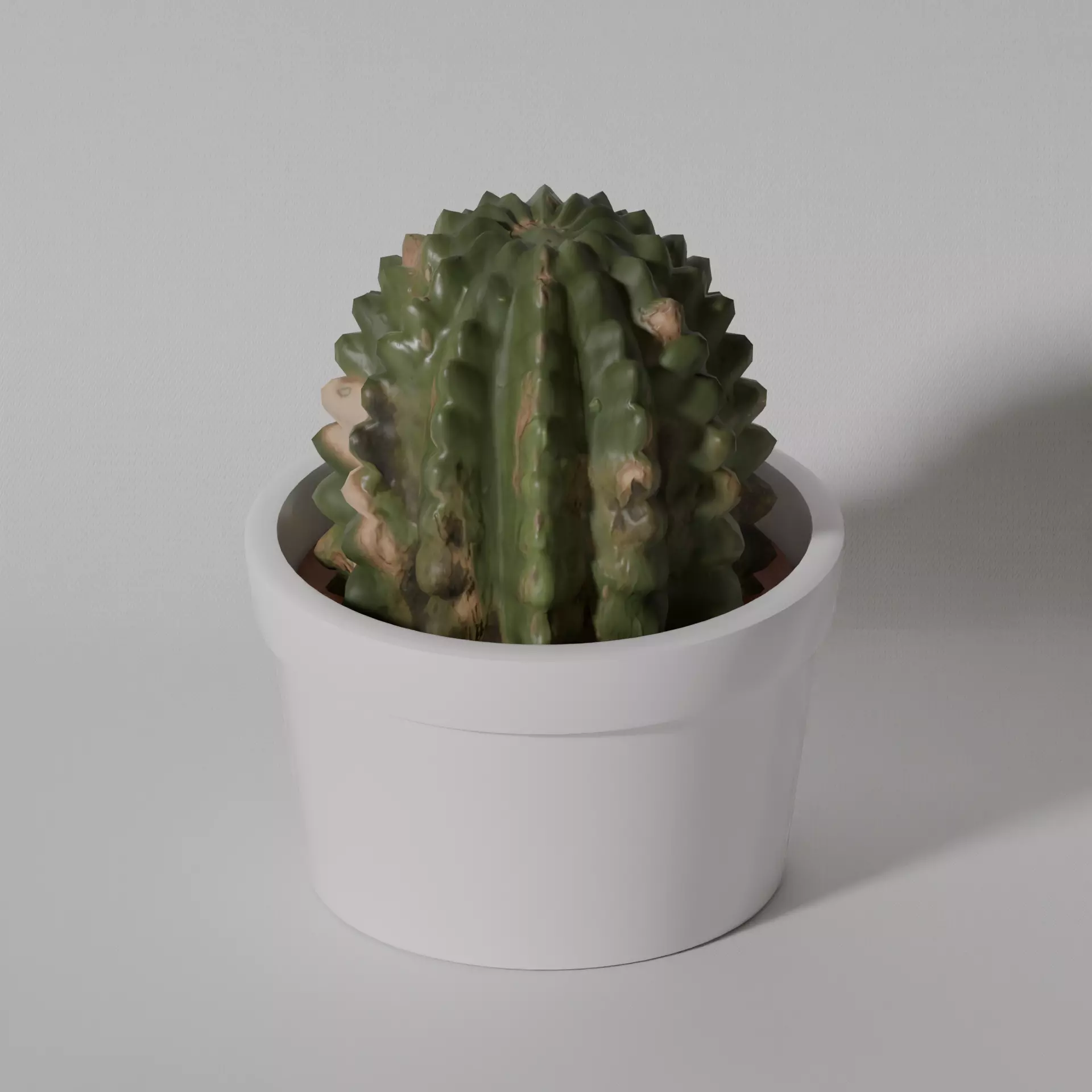 Low Poly Cactus Low-poly 3D model_0