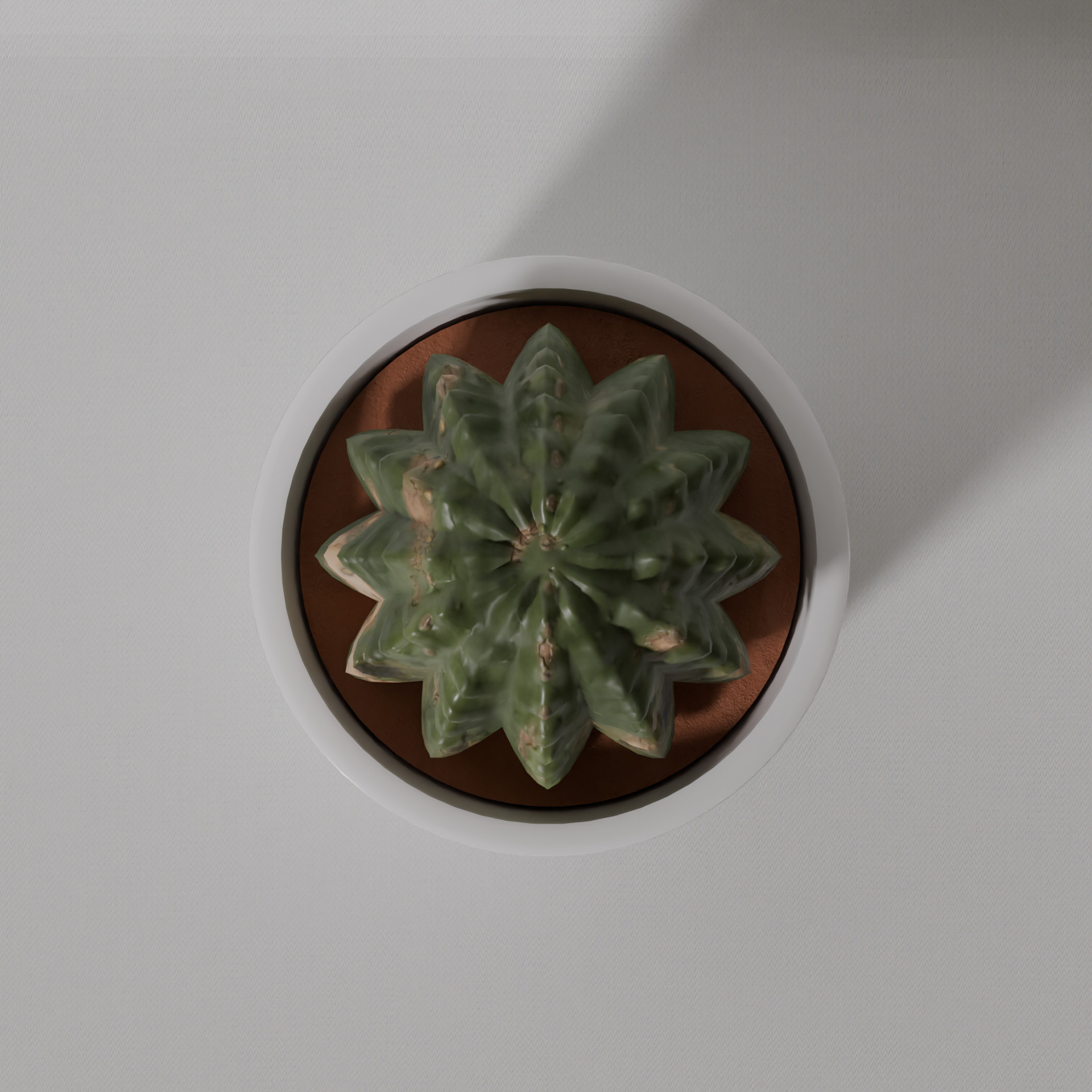 Low Poly Cactus Low-poly 3D model_1
