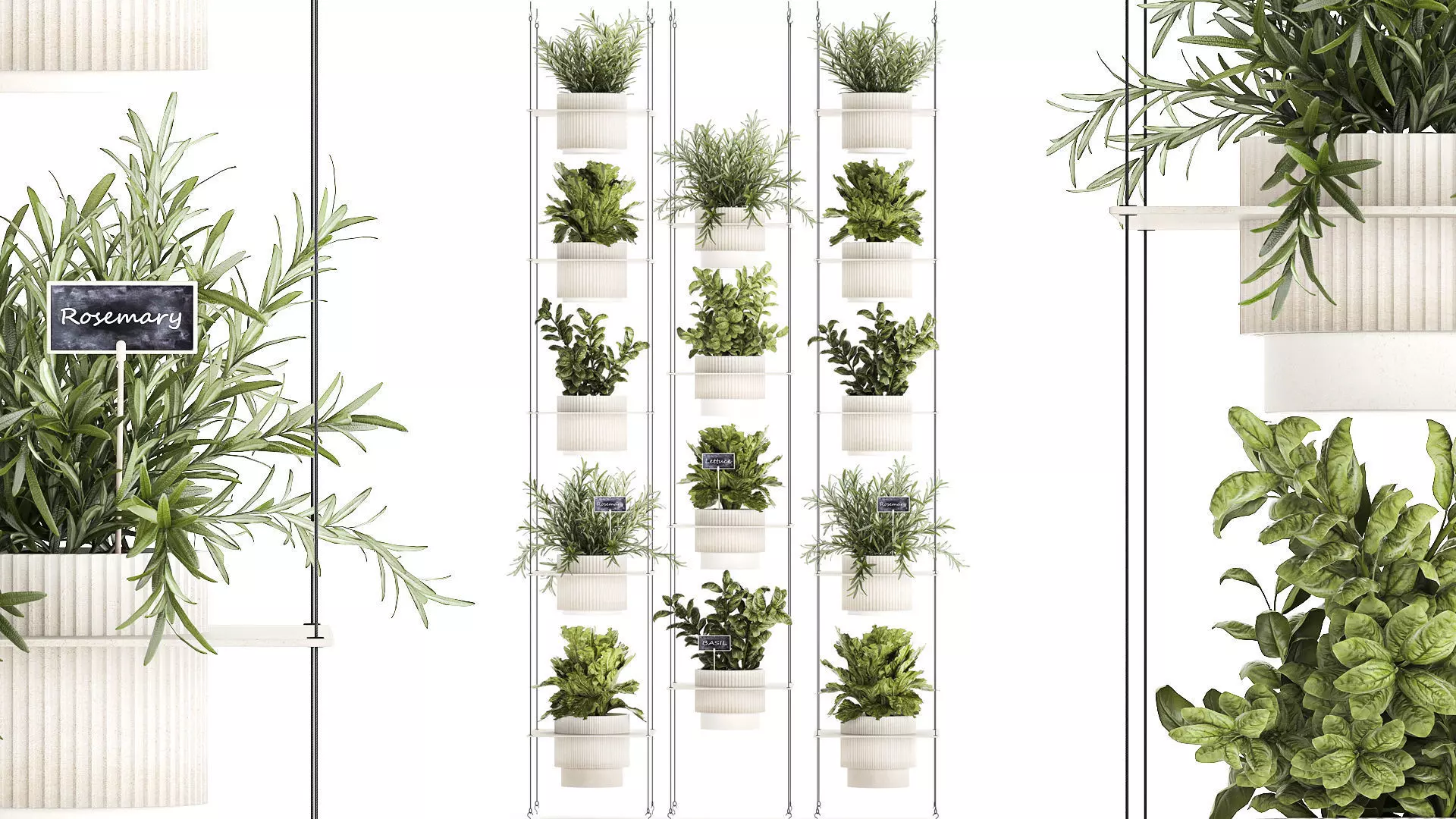 Kitchen mini vegetable garden Rosemary Basil pot 1413 3D model