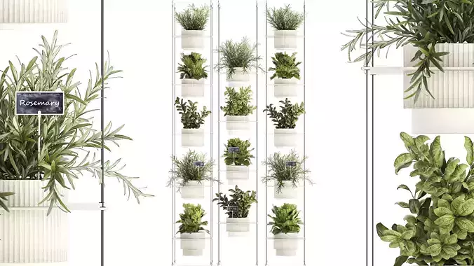 Kitchen mini vegetable garden Rosemary Basil pot 1413